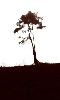 Avatar de l'arbre