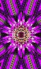Petite image numérique d'une fleur kaléidoscope