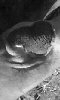 Petite photo abstraite : le genou du dromadaire