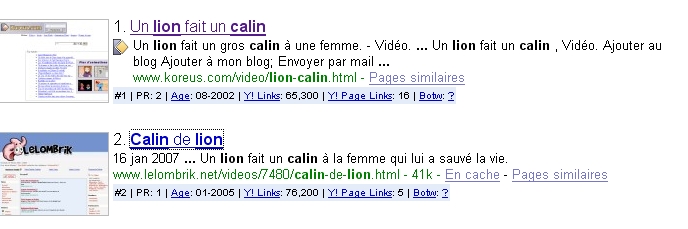 calin.jpg