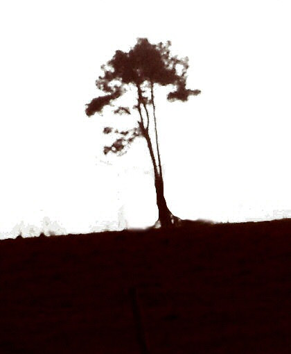 Faux dessin à l'encre de l'arbre