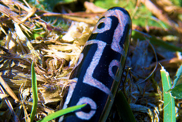 Photo d'un dzi tibétain à neuf yeux.