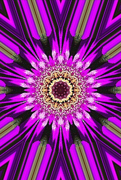 Jolie image numérique d'une fleur