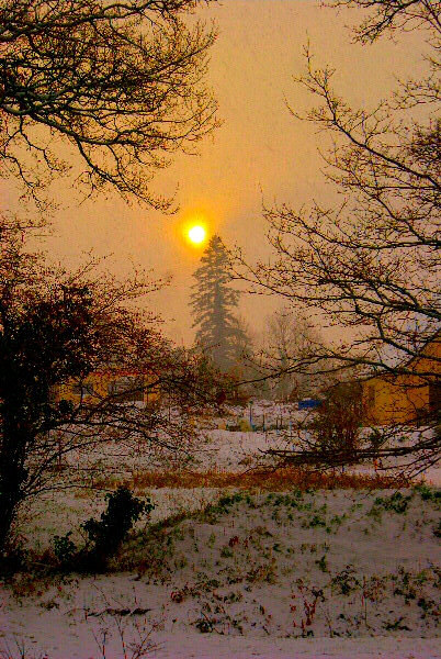 Photo de la neige sur Berric - En Bretagne