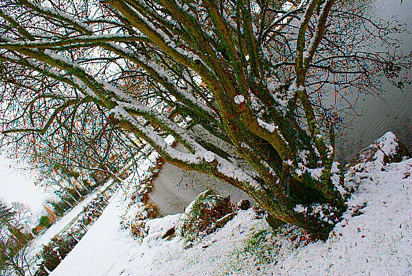 Photo d'un hiver en Bretagne