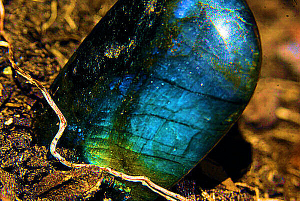 Photo d'une labradorite - Un galet.