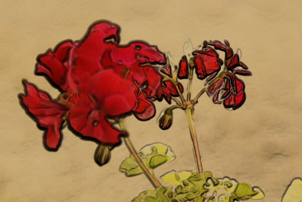 Morceaux de fleurs - Une image numérique