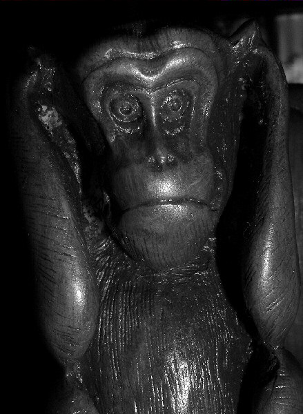 Photo de la sagesse du second singe - Tu n'entendras rien.