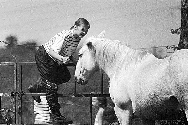 photo du cheval et de la jeune fille